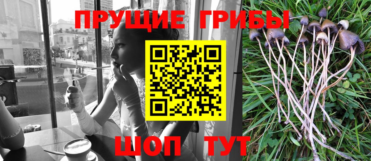 Галлюциногенные грибы Magic Shrooms  Галлюциногенные грибы Psilocybe  Вход с VPN  Пермь 